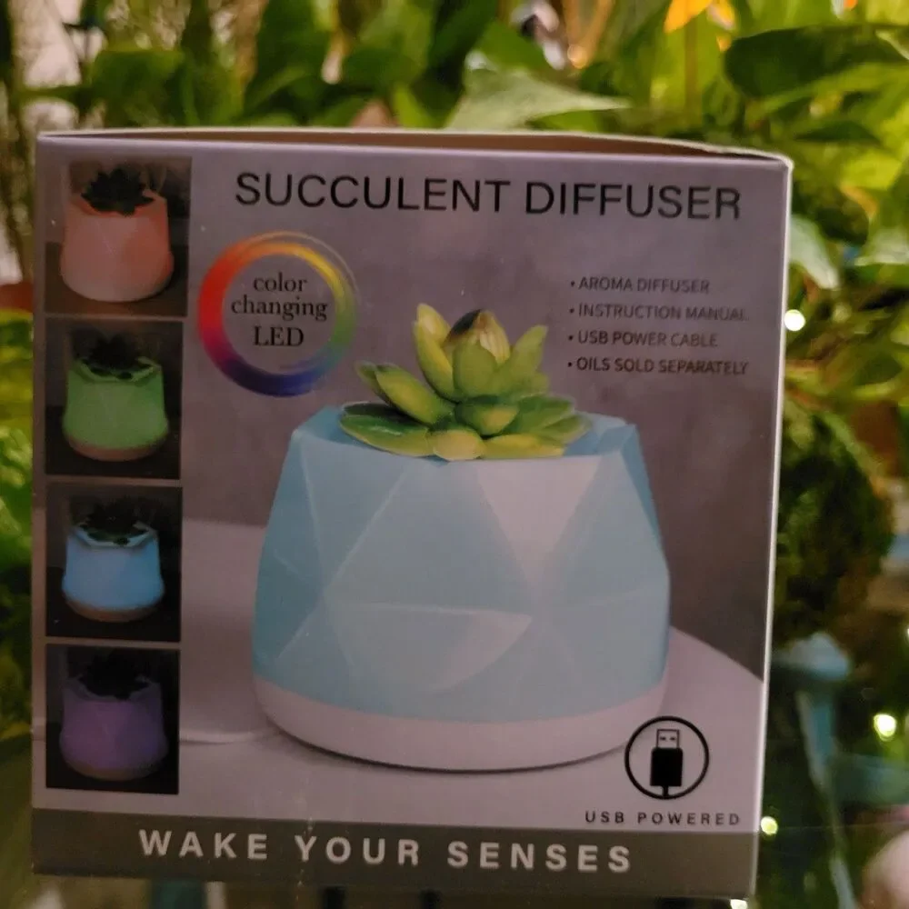 Succulent Color-Changing Night Light Lamp Waterless Essential Oil Diffuser Aroma